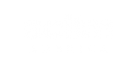 Scilm America Logo
