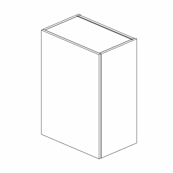Wall Cabinet Single Door 762 H 550 W x 355 D mm