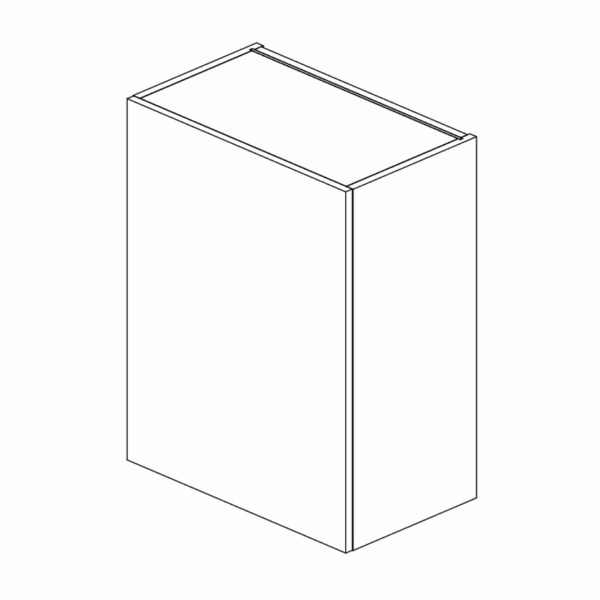 Wall Cabinet Double Door 762 H 600 W x 355 D mm