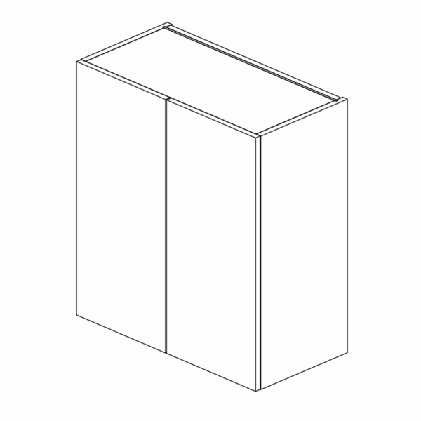 Wall Cabinet Double Door 762 H 700 W x 355 D mm