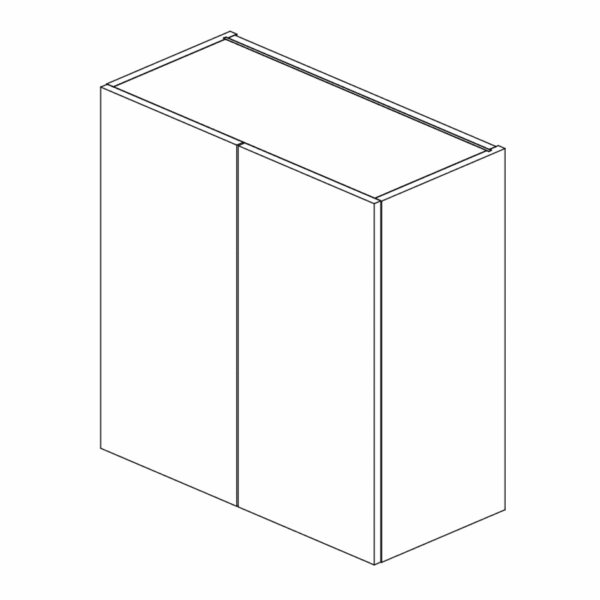 Wall Cabinet Double Door 762 H 750 W x 355 D mm